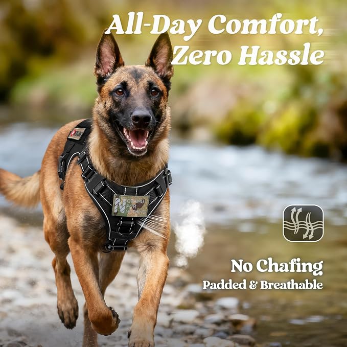rabbitgoo Tactical Dog Harness for Small, Heavy Duty Military No Pull Vest | Sturdy Metal Buckles, 5 Adjustments, Molle System, Powerful Pullers for Training, Hunting, Outdoor, Black Reflex, Small