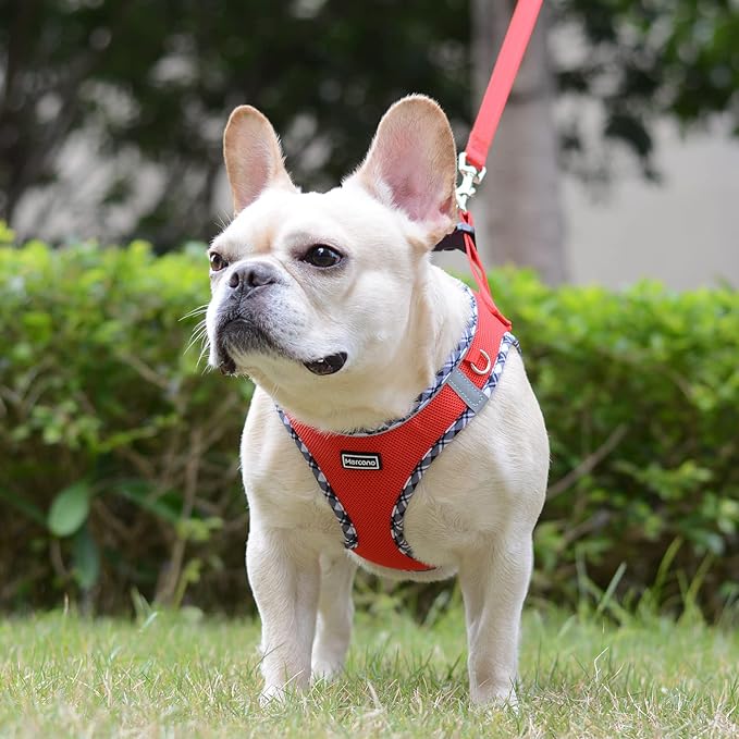 Mercano Soft Mesh Dog Harness and Leash Set, No-Chock Step-in Reflective Breathable Lightweight Easy Walk Vest Harnesses with Safety Buckle for Small Dogs, Cats (Red, XL)
