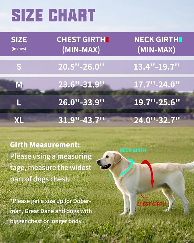 AUROTH Dog Harness and Leash Set Small Sized Dog, No Pull Escape Proof Vest | with Leash Clips, LED light clip, Breathable Mesh Padded No Choke, Easy Walking and Training, Purple, Small
