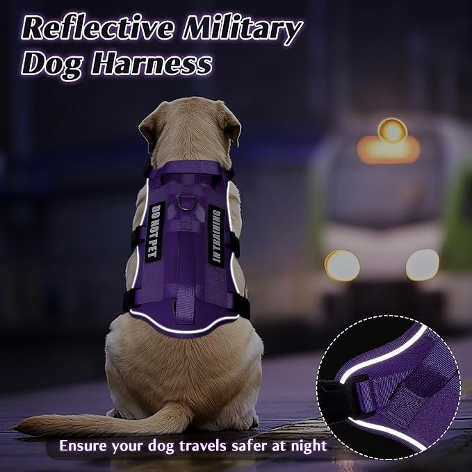 Escape Proof Dog Harness with Double Handle+4 Removable Patches | Service Working Molle Harness with Double Handle for Large Dogs, Tactical Pet Reflective Vest for Walking Hiking Hunting