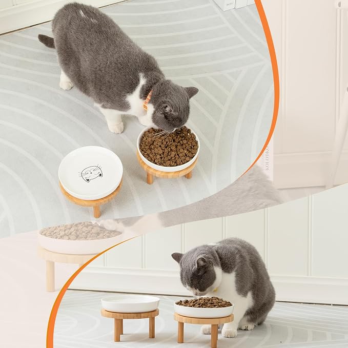 Lusifaco Shallow Elevated Cat Bowls,5.9 Inch Wide Raised Ceramic Cat Dishes with Bamboo Stand, Whisker Friendly Pet Water or Food Plates Feeding Station for Indoor Cats, Kitten(Green,Set of 2)