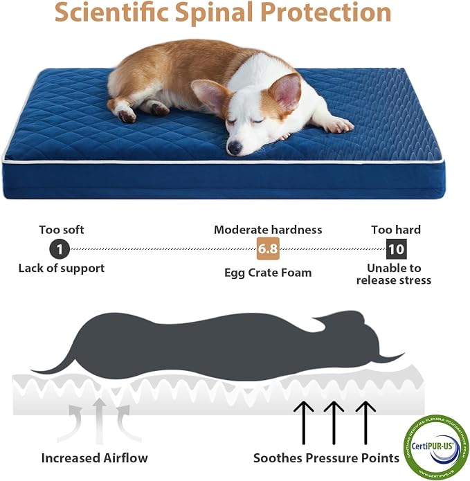 WNPETHOME Orthopedic Waterproof XL Dog Bed for Crate Cozy Sleep | Extra Large Washable Dogs Bed with Removable Cover, Multi-Needle Quilting Dogs XL Crate Bed for Relax , Blue 41x27 Inch