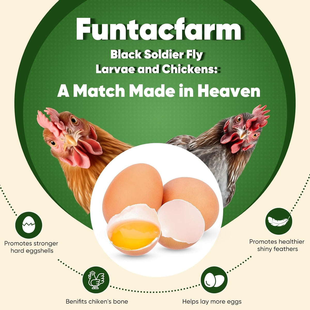 15LB Dried Black Soldier Fly Larvae for Chickens, High Protein Chicken Feed Superior to Meal Worms for Wild Birds & Chicken Treats for Laying Hens
