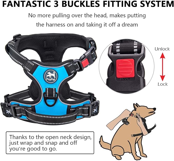 PoyPet No Pull Dog Harness Small with Front Clip & Neck Release Buckle | No Choke, Adjustable Vest, Reflective, Back Clip, Lockable, Soft Padded, Easy Control Handle for Walking Training, S, Blue