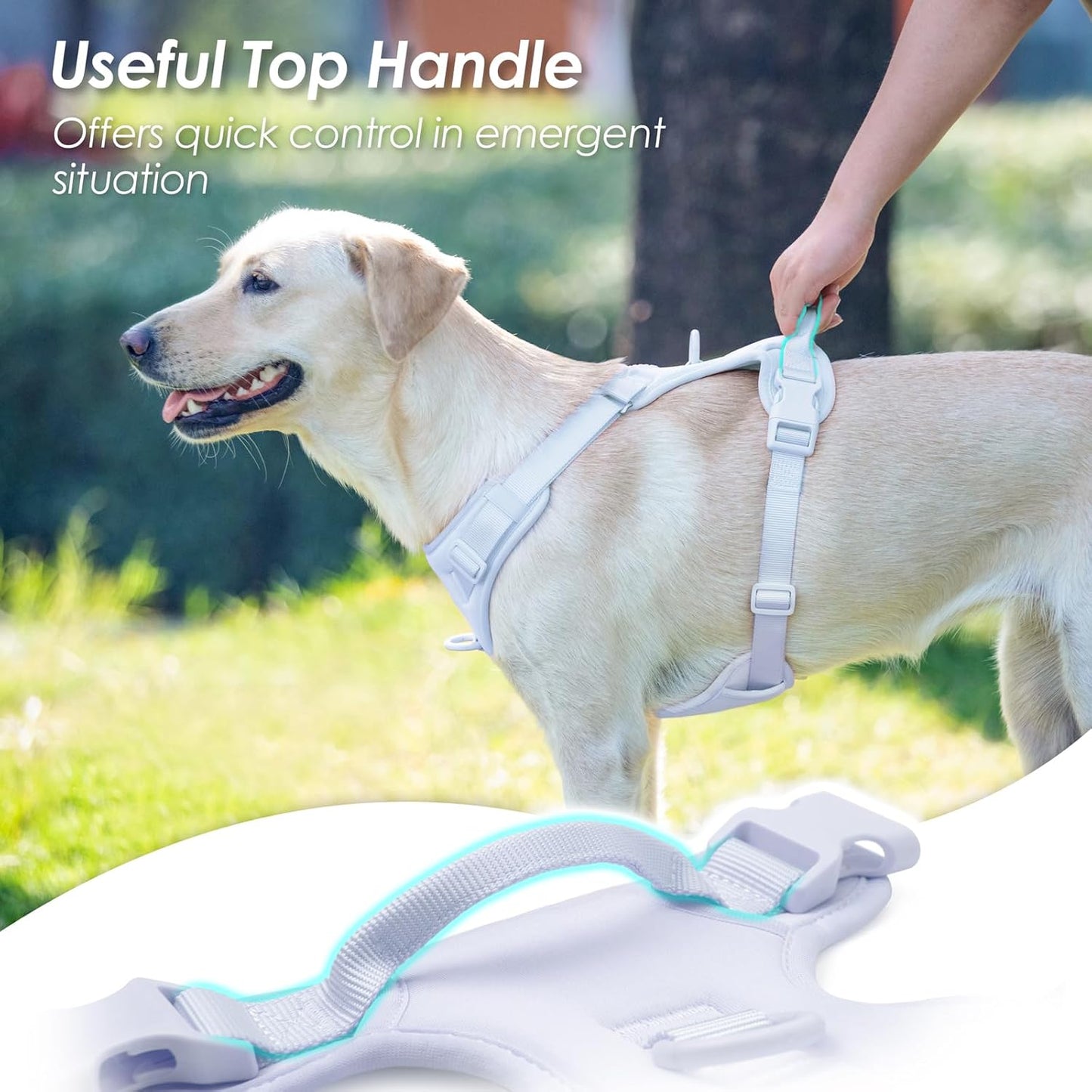 No Pull Dog Harness, Puppy Vest with Front Clip for Small Medium Large Sized Dog(Light Blue,XS)
