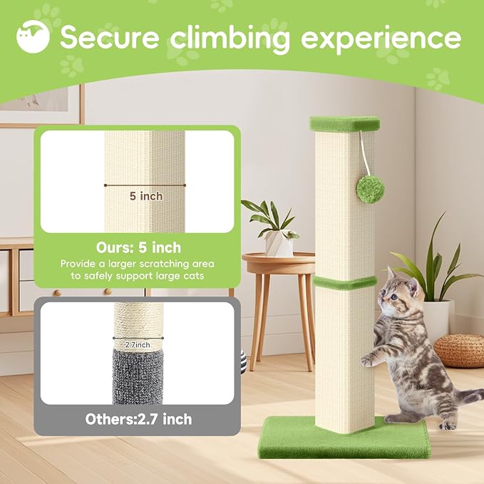 Cat Scratching Post, 32 Inch Tall Scratching Post for Indoor with 5 Inch Diameter Posts and Ball Cat Scratcher for Medium and Large Cats