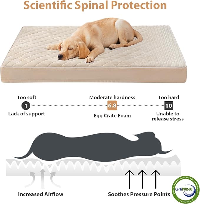 WNPETHOME Orthopedic Waterproof XL Dog Bed for Crate Cozy Sleep | Extra Large Washable Dogs Bed with Removable Cover, Multi-Needle Quilting Dogs XL Crate Bed for Relax , Beige 41x27 Inch