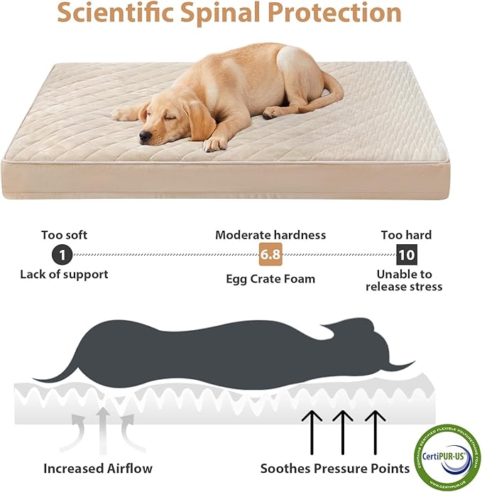 WNPETHOME Orthopedic Giant Human Dog Beds for Adult & Dog Cozy Sleep | Human Washable Waterproof Dogs Bed with Removable Cover, Multi-Needle Quilting Dogs Crate Bed for Relax , Beige 61x43 Inch