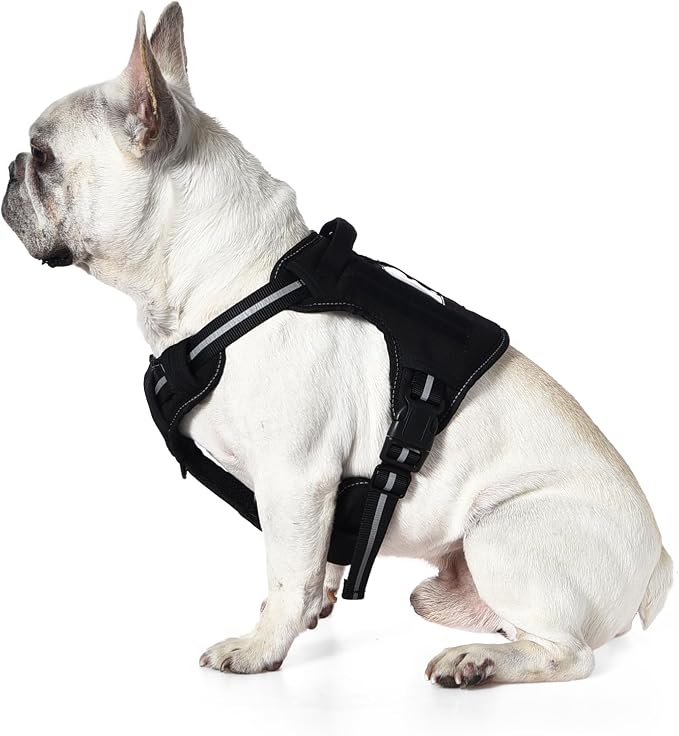Amazon Basics No-Pull Dog Harness, Adjustable Front Clip, Escape Proof Tactical Vest, Small, Black