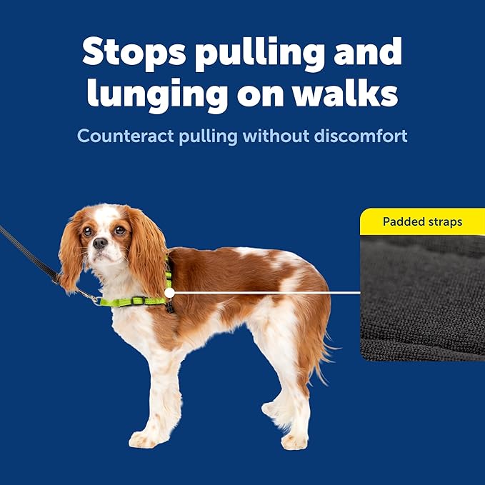 PetSafe Deluxe Easy Walk No Pull Dog Harness, Apple Green, Small | Padded Neoprene Straps, Reflective Strips for Night Safety, Martingale Loop Curbs Pulling from the Chest, Not the Throat