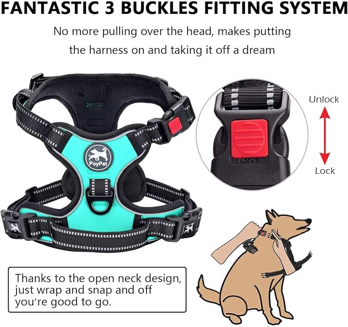 PoyPet No Pull Dog Harness Small with Front Clip & Neck Release Buckle | No Choke, Adjustable Vest, Reflective, Back Clip, Lockable, Soft Padded Handle for Walking Training, XS, Mint Blue