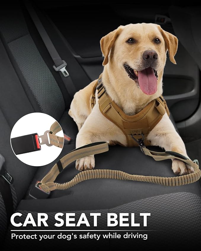 Joytale Tactical Bungee Dog Leash, Shock Absorbing No Pull, Coyote Brown | for Large Dogs That Pull, 2 Padded Handles for Control, Car Seatbelt Clip, Reflective for Night Safety, Metal Frog Clip