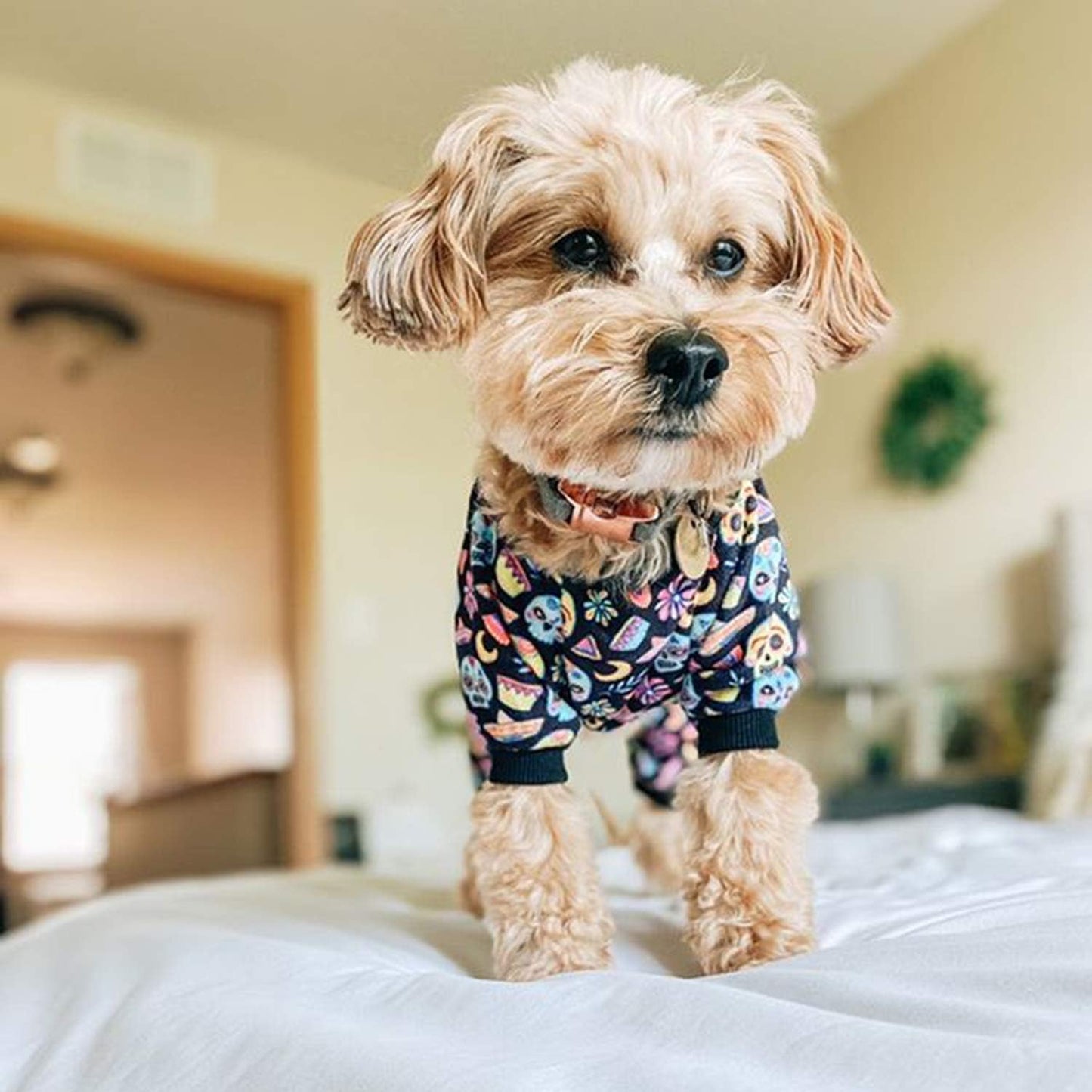 CuteBone Small Dogs Outfit Soft Puppy Onesies Pjs Halloween Dog Pajamas Pet Coat Cat Apparel Comfy Doggie Jumpsuit Bodysuit for All Seasons P73M