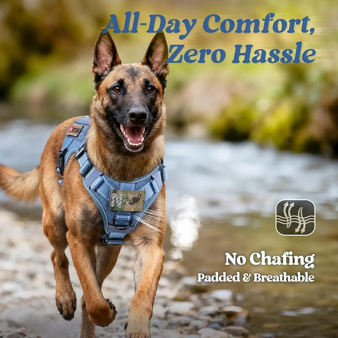 rabbitgoo Tactical Dog Harness for Medium, Heavy Duty Military No Pull Vest | Sturdy Metal Buckles, 5 Adjustments, Molle System, Powerful Pullers for Training, Hunting, Outdoor, Blue Reflex, Medium