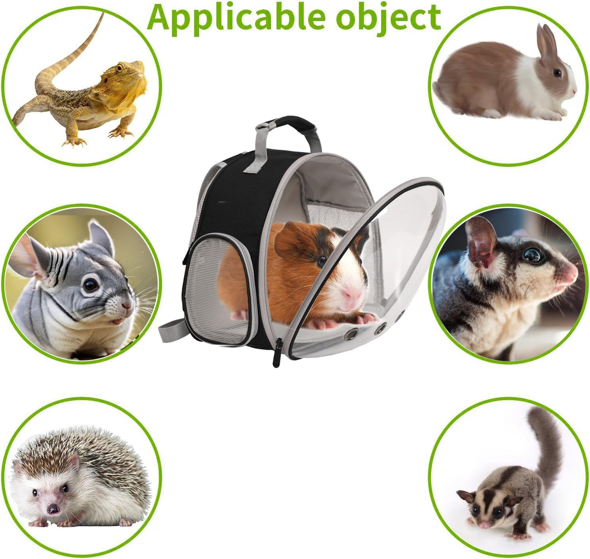 Bearded Dragon Backpack Carrier,Reptile Portable Backpack Carrier,Space Capsule Clear Bubble Window Travel Backpack for Lizard Travel,Guinea Pig,Rabbit(Blue, Backpack)
