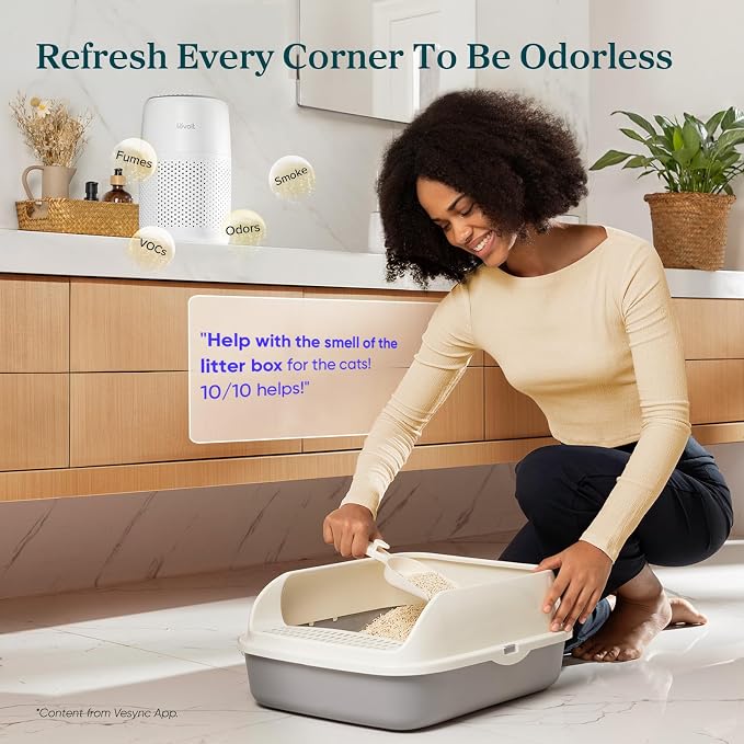LEVOIT Air Purifiers for Bedroom Home Dorm, AHAM VERIFIDE, 3-in-1 Filter Cleaner With Aroma Pad, Filters Smoke, Allergens, Pet Dander, Odor, Dust, Office, Desktop, Core Mini-P, White