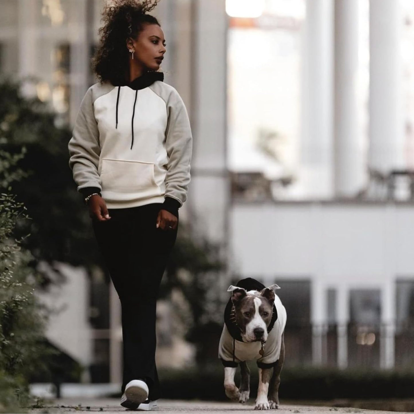 Spark Paws Dog Hoodie – Premium Dog Sweater for Small, Medium, and Large Dogs | Warm Outfits for French Bulldogs, Pitbull, Puppy, Winter Jacket Alternative - Olive Cream - 3XL