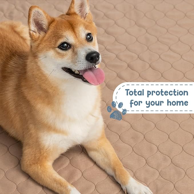 EZwhelp Reusable Dog Pee Pads - Waterproof Training Pads for Dogs - Washable & Sanitary - Rounded Corners - Laminated, Lightweight, Durable - Pet Essentials for Puppy Training and Whelping - 41" x 41"