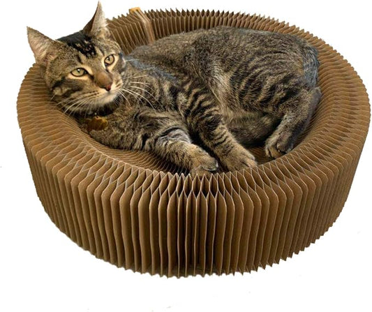 Cat Scratcher Lounge Bed - Collapsible Round Shape for Big Cat, Honeycomb Paper, 20 Inch