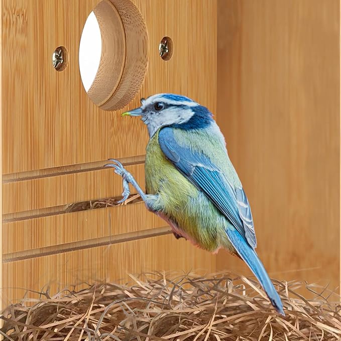Bird House for Outside –Hanging Birdhouse for Bluebird Finch Swallow Wren Chickadee, Decorative Outdoor Bird Nesting Box with 3 Size Holes, Assembly Required (2)