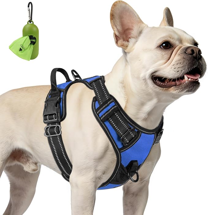 Joytale No Pull Dog Harness for Small Dogs, Front Clip, Navy Blue | Grab Handle for Instant Control, Padded & Adjustable Vest, Sturdy Metal D-Rings, for Safe Training & Daily Walking