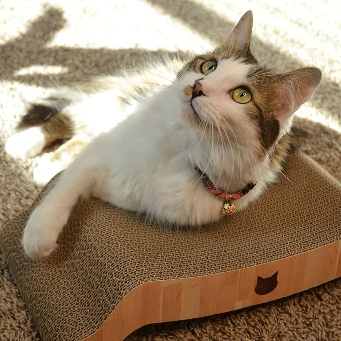 Necoichi Cardboard Cat Scratcher Couch for Indoor Cats - Cat Scratching Board, Horizontal Cat Scratch Pad Lounger with Reversible Usability and Extra Comfort for Lounge, Curved (17" Regular, Oak)