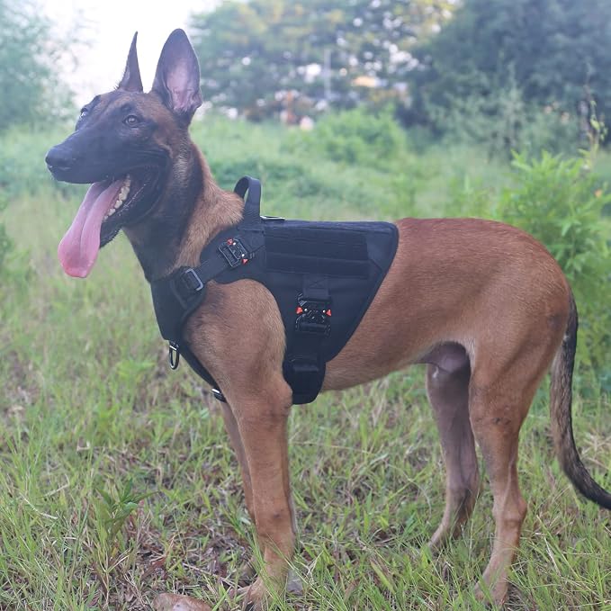 ICEFANG Tactical Dog Harness for Medium Dogs,Full Metal Buckles Dog Vest | with MOLLE, Reflective,Adjustable,2 Leash Clips,Control Handle,No Pull,Soft Padded,Black,Medium