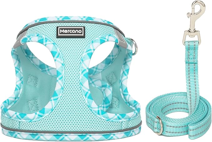 Mercano Soft Mesh Dog Harness and Leash Set, No-Chock Step-in Reflective Breathable Lightweight Easy Walk Vest Harnesses with Safety Buckle for Small Dogs, Cats (Light Blue, XXS)