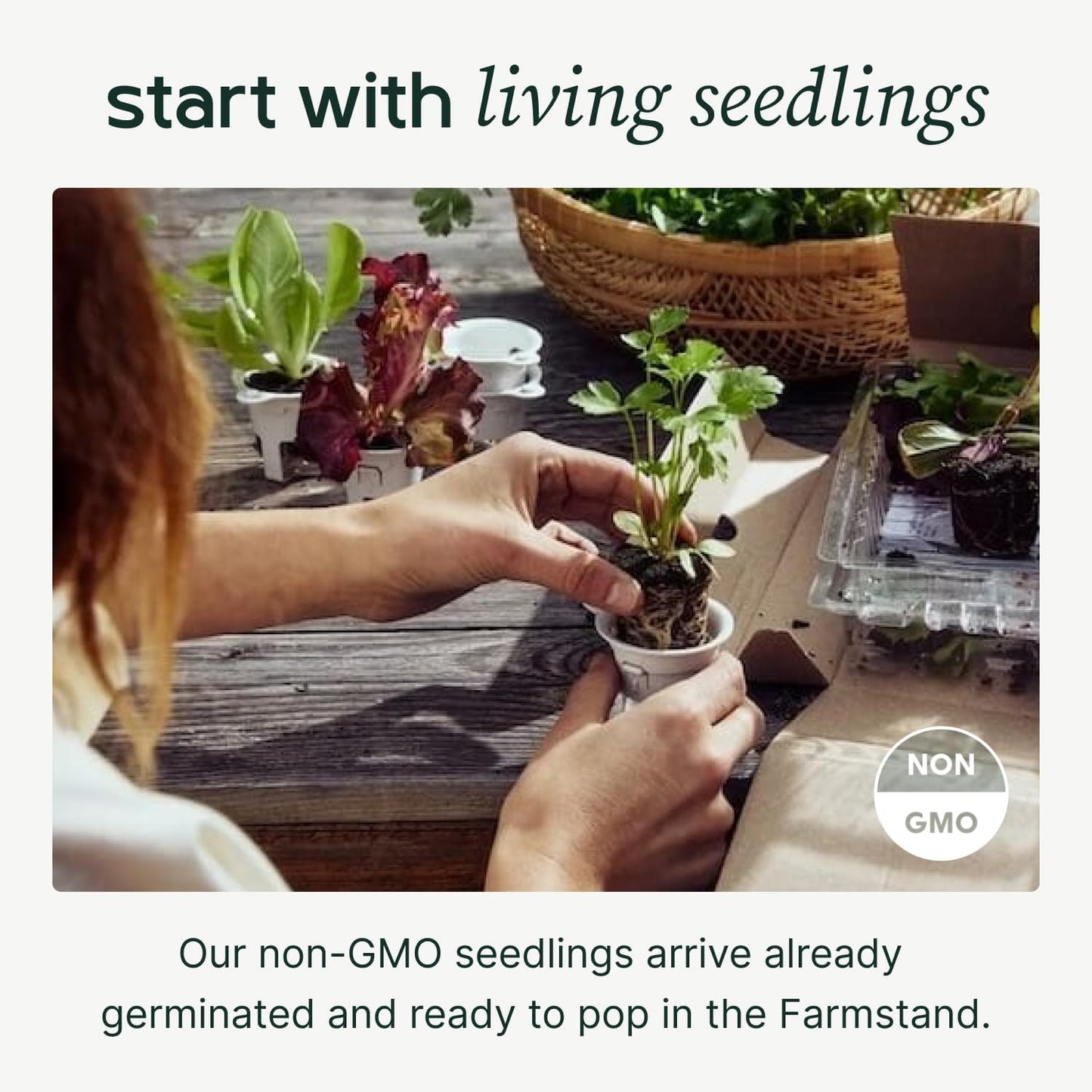 Farmstand Starter Kit with Glow Rings and 24 Seedling Credits | Medium Hydroponic Growing System Kit | Vertical Garden Planter Tower | 4ft 10in Tall