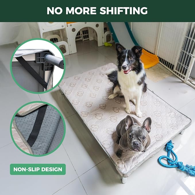 FXW TitanNest Cooling Chew-Proof Elevated Dog Bed with Cover for Large Dogs | Easy to Clean, Pre-assembly Raised Cot, Indoor/Outdoor/Camping, 47 x 29 x 7.3in