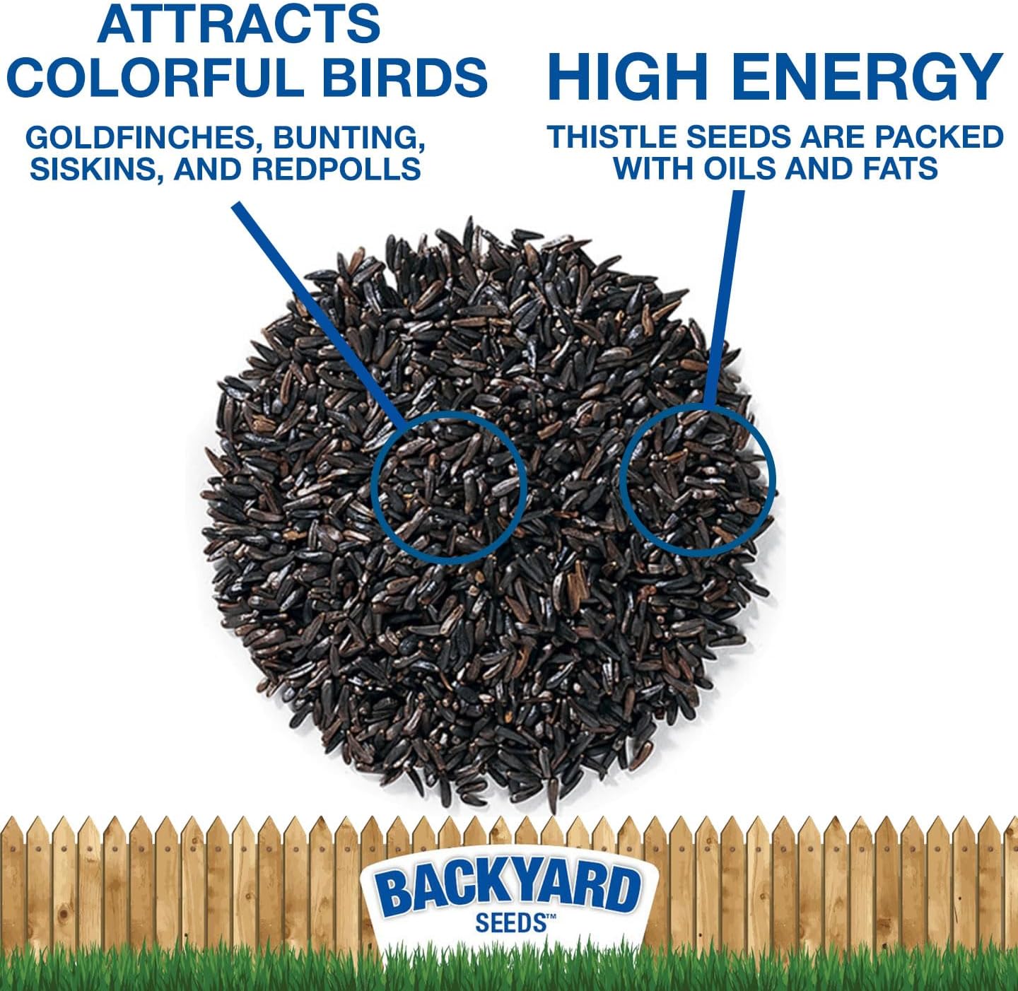 Nyjer Thistle Seed (3)