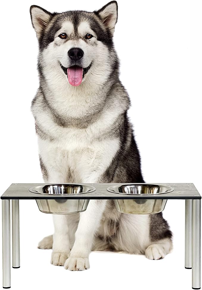 Raised Pet Bowls for Cats and Dogs, Outdoor Elevated Dog Cat Food and Water Bowls Stand Feeder on Aluminum Legs with 2 Stainless Steel Bowls Sizes for Small Medium and Large Dogs. - Large (Monte)