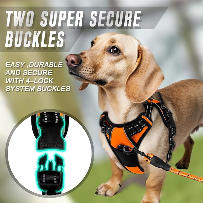 BARKBAY Dog Harness No Pull for Small Sized Dog Front Back Clips,Dog Vest | Soft Padded No Choke With Handle,Easy On&Off,Adjustable Reflective For Walking Training Running(Orange,XS)