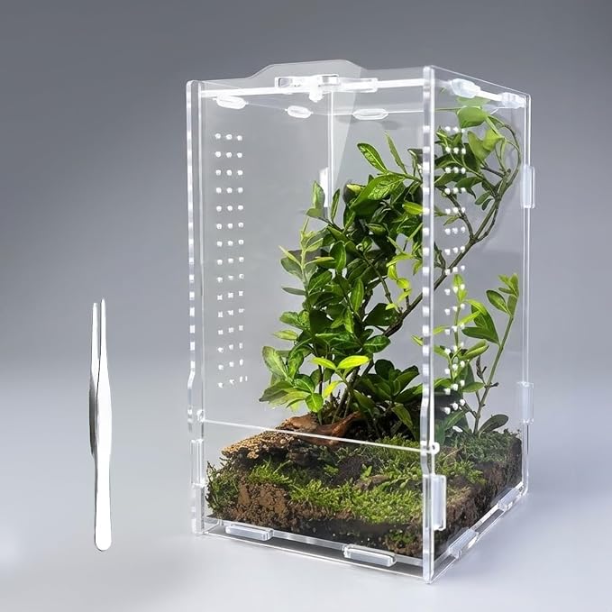 Acrylic Jumping Spider Enclosure: Arboreal Tarantula Enclosure | Front Opening Reptile Terrarium for Gecko Praying Mantis Snail - Lockable Dual-Side Ventilation Bug Habitat for Desk Decor