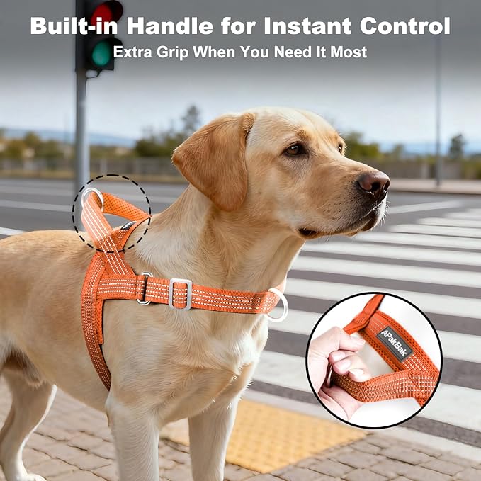 No Pull Dog Harness with Handle, Adjustable Soft Mesh Padded Vest | Reflective Walking Harness with Front Clip for Small Medium Large Dogs, Quick Fit No Escape for Training, Orange, M