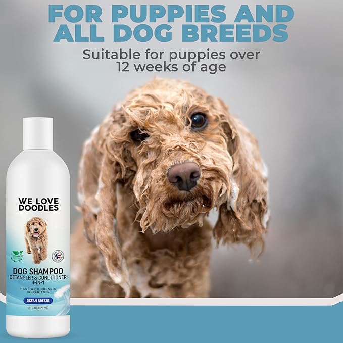 We Love Doodles 2 PACK Pet Rubber Bath Brush and Dog Shampoo (Bundle) - for Shower Scrubbing & Soothing Massage and Organic Dog Shampoo, Conditioner & Detangler - Made in The USA