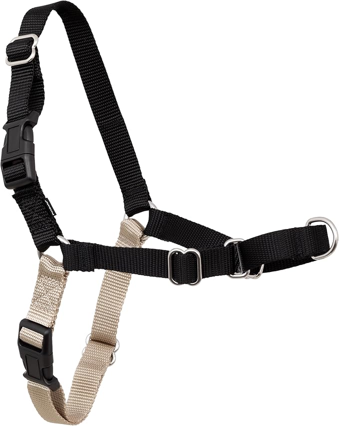 PetSafe Easy Walk Harness, No Pull Dog Harness, Black, Small/Medium | Patented Martingale Loop Gives Gradual Shoulder Pressure to Stop Pulling, Front-Chest Leash Clip Prevents Gagging