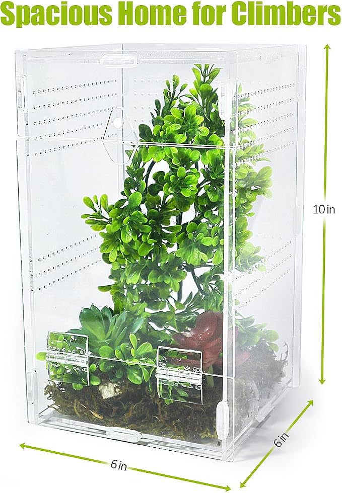 Jumping Spider Enclosure 6”x6”x10”, Transparent Arboreal Tarantula Habitat, Praying Mantis Terrarium Critter Cage for Jumping Spider, Tarantula, Mantis, Snail, Isopods, Beetles, Millipedes