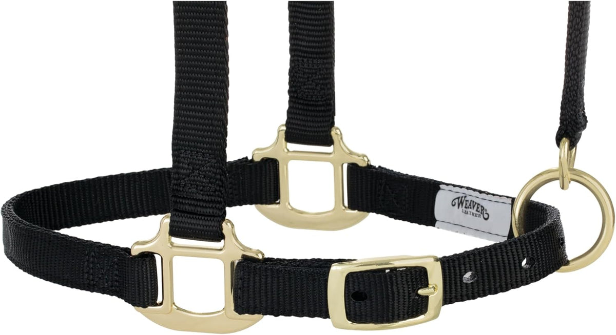 Weaver Equine Breakaway Horse Halter, Supple Leather Crown, Adjustable Chin & Throat Snap Halters for Horses, Equine Tack,Pony Size, Black
