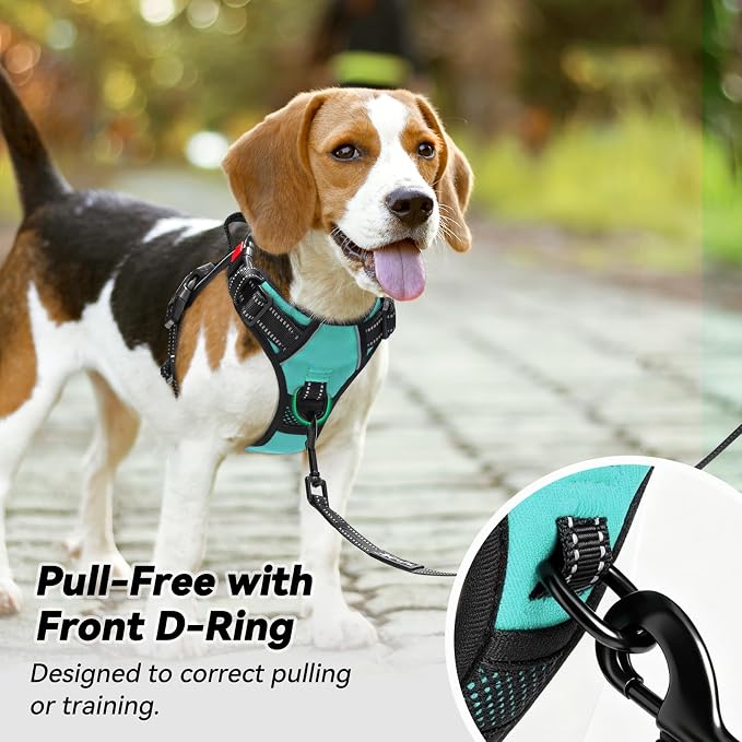 PoyPet No Pull Dog Harness Large with Front Clip & Neck Release Buckle | No Choke, Adjustable Vest, Reflective, Back Clip, Lockable, Soft Padded Handle for Walking Training, L, Mint Blue