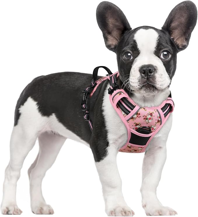 rabbitgoo Dog Harness, No Pull for Small Dogs with 2 Leash Clips, Pet Vest | No Choke with Handle, Adjustable Soft Padded, Reflective, Easy Control for Walking, Pink Rose, Small