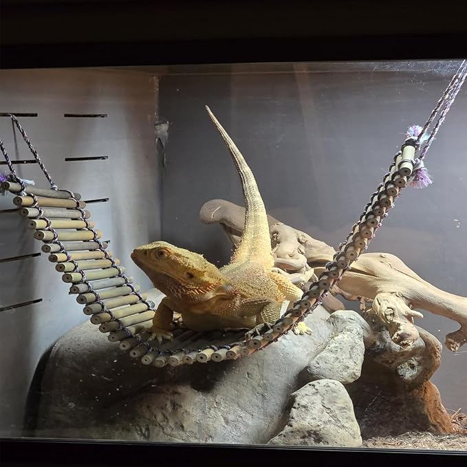 kathson Reptile Bridge for Terrarium,Bearded Dragon Wooden Bridges Gecko Hammock with Hanging Plants Lizard Lounger Bamboo Ladder Reptiles Tank Accessories Climbing for Chameleons Geckos Snakes (3Pcs)