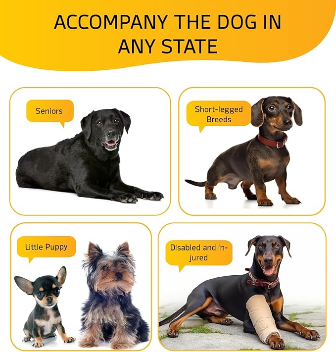 Dog Stairs for Small Dog Steps for Bed Ramps Stairs Extra Wide Steps for Bed Foam Stairs for Couch Sofa 35D Strong Support Pet Stairs Non-Slip Bottom Pet Steps to Get on Bed, Grey, 3 Steps