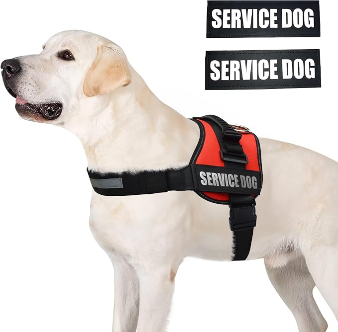 Service Dog Vest Harness – Reflective Service Animal Vest with Handle, No-Pull Adjustable Mesh Padding – XXS–XL – 2 Removable Patches (Medium, Red)
