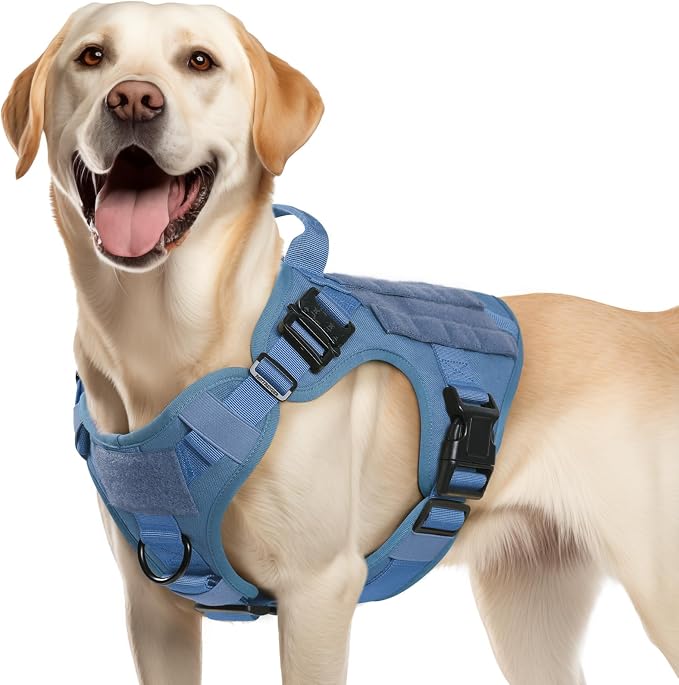rabbitgoo Tactical Dog Harness for Medium, Heavy Duty Military No Pull Vest | Sturdy Metal Buckles, 5 Adjustments, Molle System, Powerful Pullers for Training, Hunting, Outdoor, Blue, Medium