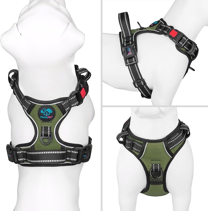 No Pull Dog Harness with Handle Front & Back Clip, Easy on | Lockable Snap Buckle at Neck, Adjustable Reflective Vest with Handle for Small Medium Large Dogs (L, Misty Green)