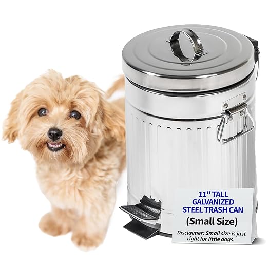 Pet Fit For Life Steel Trash Can with Lid, Small, 5L/1.3 Gallons | Steel Galvanized Bin with Step Foot Pedal, Plastic Inner Lining, Liner Bags, Weather-Resistant Design, 11 Inches Tall