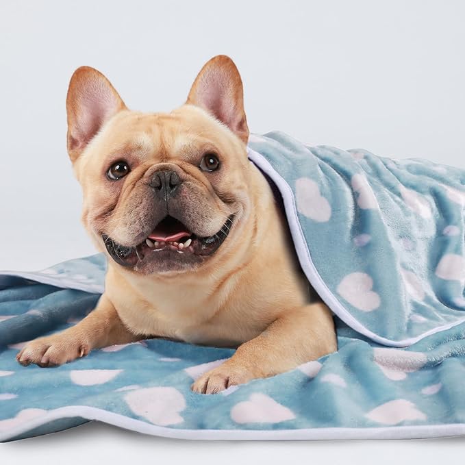 1 Pack 3 Blankets Super Soft Cute Dot Pattern Pet Blanket Flannel Throw for Dog Puppy Cat Purple/Pink/Cyan Large