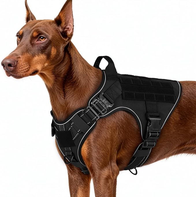 rabbitgoo Tactical Dog Harness for Large, Heavy Duty Military No Pull Vest | Sturdy Metal Buckles, 5 Adjustments, Molle System, Powerful Pullers for Training, Hunting, Outdoor, Black Reflex, Large