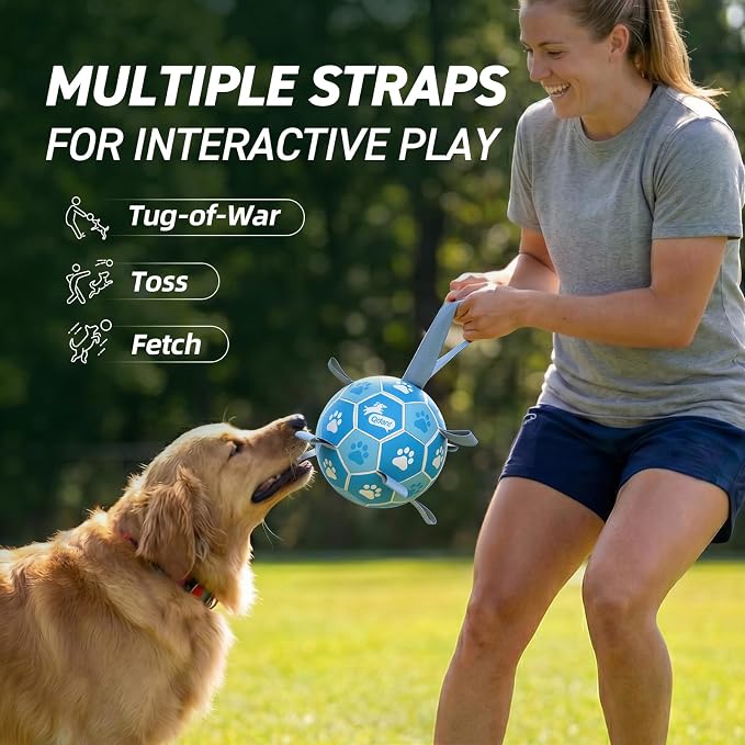QDAN Dog Toy Balls, World Cup Balls for Dogs, Soccer Ball for Dogs with Straps, Outdoor Dog Toys for Medium (6 Inch)